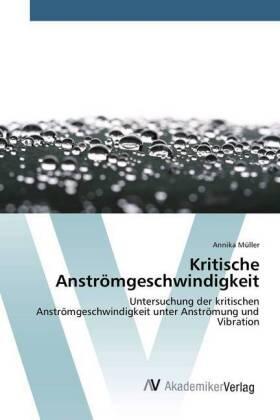 Müller |  Kritische Anströmgeschwindigkeit | Buch |  Sack Fachmedien