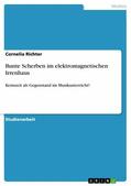 Richter |  Bunte Scherben im elektromagnetischen Irrenhaus | eBook | Sack Fachmedien