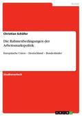 Schäfer |  Die Rahmenbedingungen der Arbeitsmarktpolitik | eBook | Sack Fachmedien