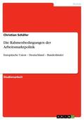 Schäfer |  Die Rahmenbedingungen der Arbeitsmarktpolitik | Buch |  Sack Fachmedien