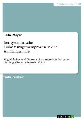 Meyer | Der systematische Risikomanagementprozess in der Straffälligenhilfe | E-Book | sack.de
