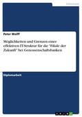 Wolff |  Möglichkeiten und Grenzen einer effektiven IT-Struktur für die "Filiale der Zukunft" bei Genossenschaftsbanken | eBook | Sack Fachmedien
