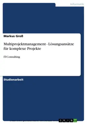 Groß |  Multiprojektmanagement - Lösungsansätze für komplexe Projekte | eBook | Sack Fachmedien