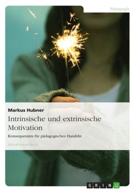 Hubner |  Intrinsische und extrinsische Motivation. Konsequenzen für pädagogisches Handeln | Buch |  Sack Fachmedien