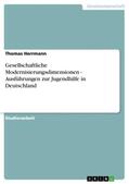 Herrmann |  Gesellschaftliche Modernisierungsdimensionen - Ausführungen zur Jugendhilfe in Deutschland | Buch |  Sack Fachmedien