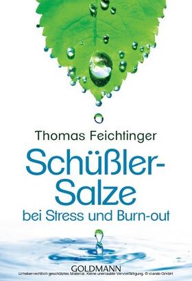 Feichtinger | Schüßler-Salze bei Stress und Burn-out | E-Book | sack.de
