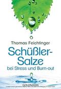 Feichtinger |  Schüßler-Salze bei Stress und Burn-out | eBook | Sack Fachmedien