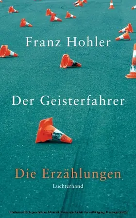 Hohler |  Der Geisterfahrer | eBook | Sack Fachmedien