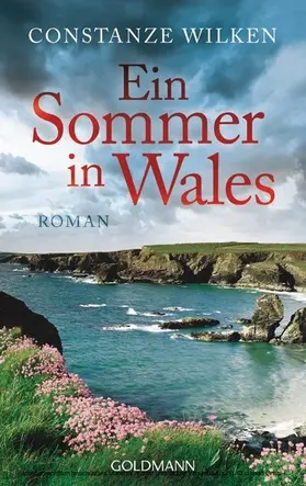 Wilken |  Ein Sommer in Wales | eBook | Sack Fachmedien