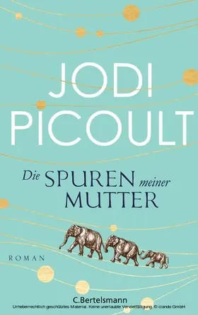 Picoult |  Die Spuren meiner Mutter | eBook | Sack Fachmedien