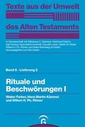 Farber / Kümmel / Römer |  Rituale und Beschwörungen I | eBook | Sack Fachmedien