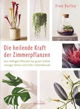 Bailey |  Die heilende Kraft der Zimmerpflanzen | eBook | Sack Fachmedien