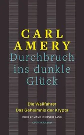Amery |  Durchbruch ins dunkle Glück | eBook | Sack Fachmedien
