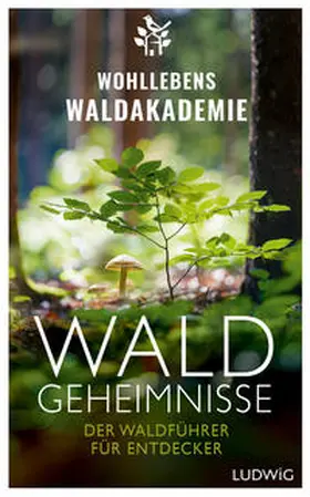 Waldgeheimnisse | E-Book | sack.de