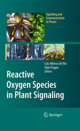 Puppo / del Río | Reactive Oxygen Species in Plant Signaling | Buch | 978-3-642-00389-9 | sack.de