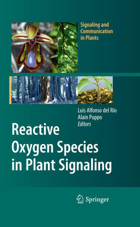 del Río / Puppo | Reactive Oxygen Species in Plant Signaling | E-Book | sack.de