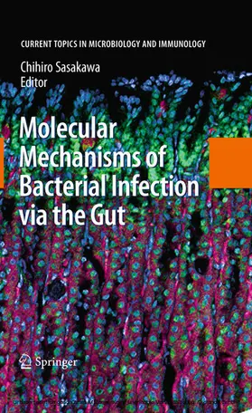 Sasakawa |  Molecular Mechanisms of Bacterial Infection via the Gut | eBook | Sack Fachmedien