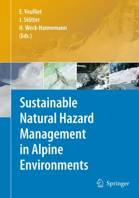 Veulliet / Weck-Hannemann / Johann |  Sustainable Natural Hazard Management in Alpine Environments | Buch |  Sack Fachmedien