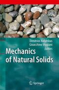 Viggiani / Kolymbas |  Mechanics of Natural Solids | Buch |  Sack Fachmedien