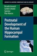 Insausti / Marcos / Cebada-Sánchez |  Postnatal Development of the Human Hippocampal Formation | Buch |  Sack Fachmedien