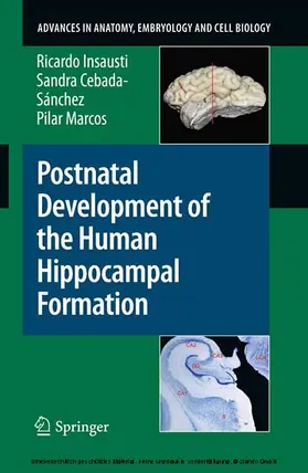 Insausti / Cebada-Sánchez / Marcos | Postnatal Development of the Human Hippocampal Formation | E-Book | sack.de