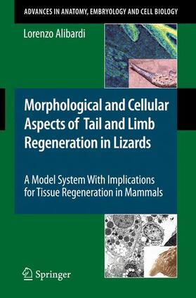Alibardi | Morphological and Cellular Aspects of Tail and Limb Regeneration in Lizards | Buch | 978-3-642-03732-0 | sack.de