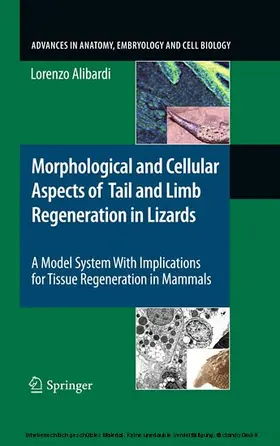 Alibardi | Morphological and Cellular Aspects of Tail and Limb Regeneration in Lizards | E-Book | sack.de