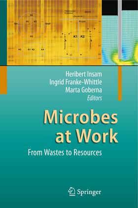 Insam / Goberna / Franke-Whittle | Microbes at Work | Buch | 978-3-642-04042-9 | sack.de