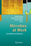 Insam / Goberna / Franke-Whittle |  Microbes at Work | Buch |  Sack Fachmedien