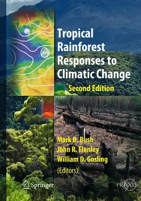 Bush / Flenley / Gosling |  Tropical Rainforest Responses to Climatic Change | eBook | Sack Fachmedien
