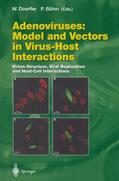 Böhm / Doerfler |  Adenoviruses: Model and Vectors in Virus-Host Interactions | Buch |  Sack Fachmedien
