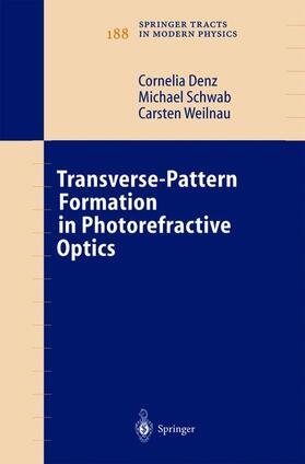 Denz / Weilnau / Schwab | Transverse-Pattern Formation in Photorefractive Optics | Buch | 978-3-642-05693-2 | sack.de