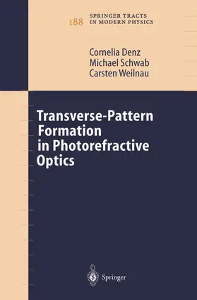 Denz / Weilnau / Schwab |  Transverse-Pattern Formation in Photorefractive Optics | Buch |  Sack Fachmedien