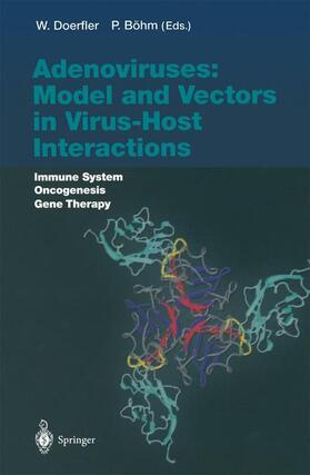 Böhm / Doerfler | Adenoviruses: Model and Vectors in Virus-Host Interactions | Buch | 978-3-642-05715-1 | sack.de