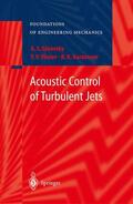 Ginevsky / Karavosov / Vlasov |  Acoustic Control of Turbulent Jets | Buch |  Sack Fachmedien