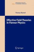 Mannel |  Effective Field Theories in Flavour Physics | Buch |  Sack Fachmedien