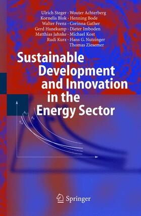 Steger / Kost / Achterberg | Sustainable Development and Innovation in the Energy Sector | Buch | 978-3-642-06204-9 | sack.de
