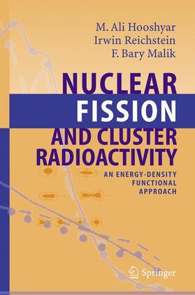 Hooshyar / Malik / Reichstein | Nuclear Fission and Cluster Radioactivity | Buch | 978-3-642-06234-6 | sack.de