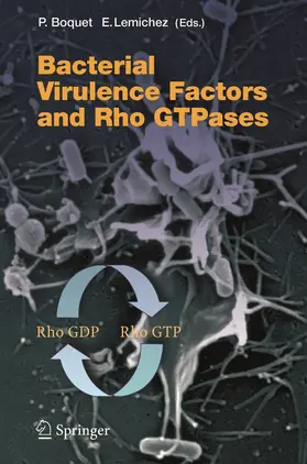 Lemichez / Boquet | Bacterial Virulence Factors and Rho GTPases | Buch | 978-3-642-06280-3 | www.sack.de