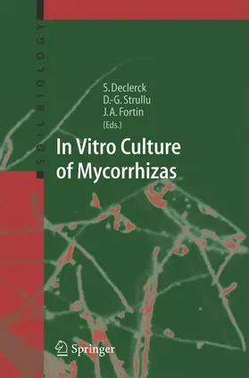 Declerck / Fortin / Strullu |  In Vitro Culture of Mycorrhizas | Buch |  Sack Fachmedien