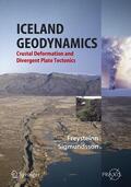 Sigmundsson |  Iceland Geodynamics | Buch |  Sack Fachmedien