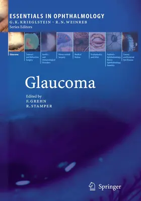 Stamper / Grehn | Glaucoma | Buch | 978-3-642-06566-8 | sack.de