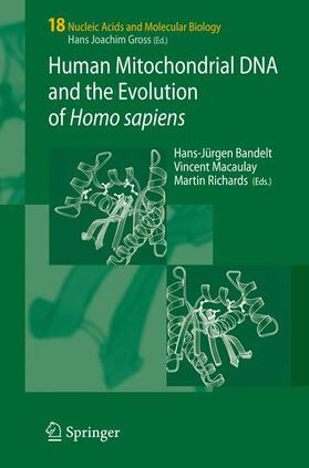 Bandelt / Macaulay / Richards | Human Mitochondrial DNA and the Evolution of Homo sapiens | Buch | 978-3-642-06868-3 | sack.de