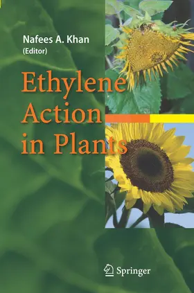 Khan | Ethylene Action in Plants | Buch | 978-3-642-06926-0 | sack.de