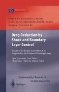Stanewsky / Matteis / Delery |  Drag Reduction by Shock and Boundary Layer Control | Buch |  Sack Fachmedien