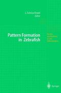 Solnica-Krezel |  Pattern Formation in Zebrafish | Buch |  Sack Fachmedien