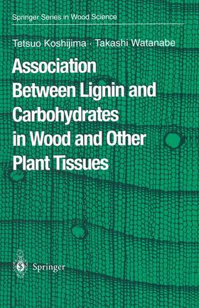 Watanabe / Koshijima | Association Between Lignin and Carbohydrates in Wood and Other Plant Tissues | Buch | 978-3-642-07853-8 | sack.de
