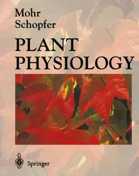 Mohr / Schopfer |  Plant Physiology | Buch |  Sack Fachmedien