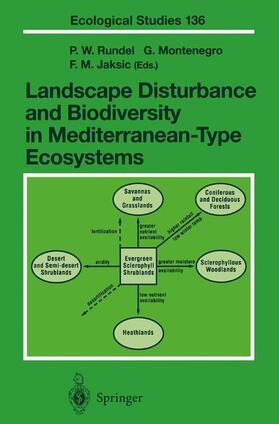Rundel / Jaksic / Montenegro | Landscape Disturbance and Biodiversity in Mediterranean-Type Ecosystems | Buch | 978-3-642-08416-4 | sack.de