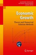Novales / Fernández / Ruíz |  Economic Growth | Buch |  Sack Fachmedien